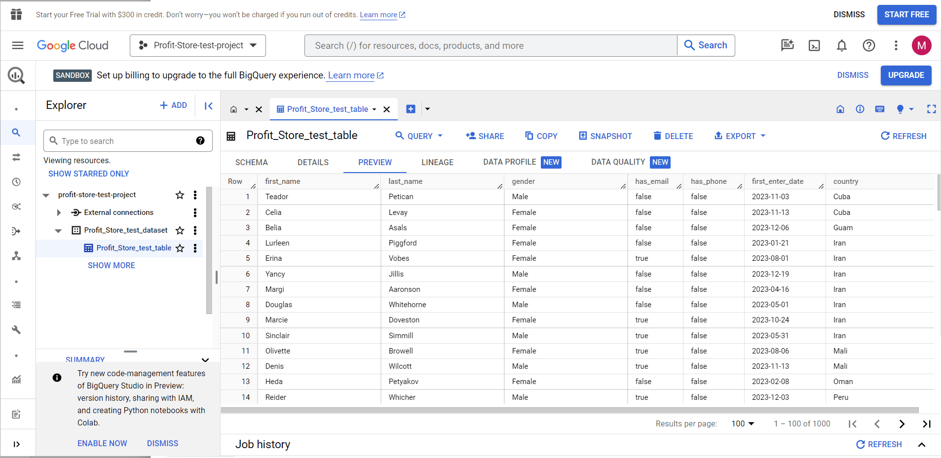 11--14-bigquery-profitstore.ua.png